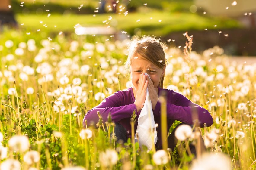 alergiju sienliges gydymas pakopine autohemoterpija natura munda