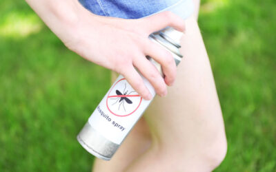 Preventing Insect Bites During Summer