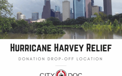 Hurricane Harvey Relief Efforts