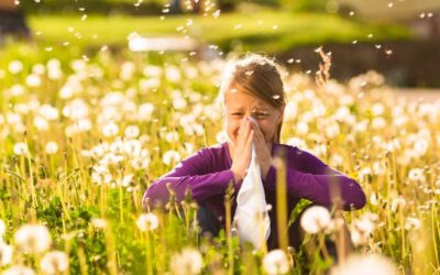How to Survive Seasonal Allergies