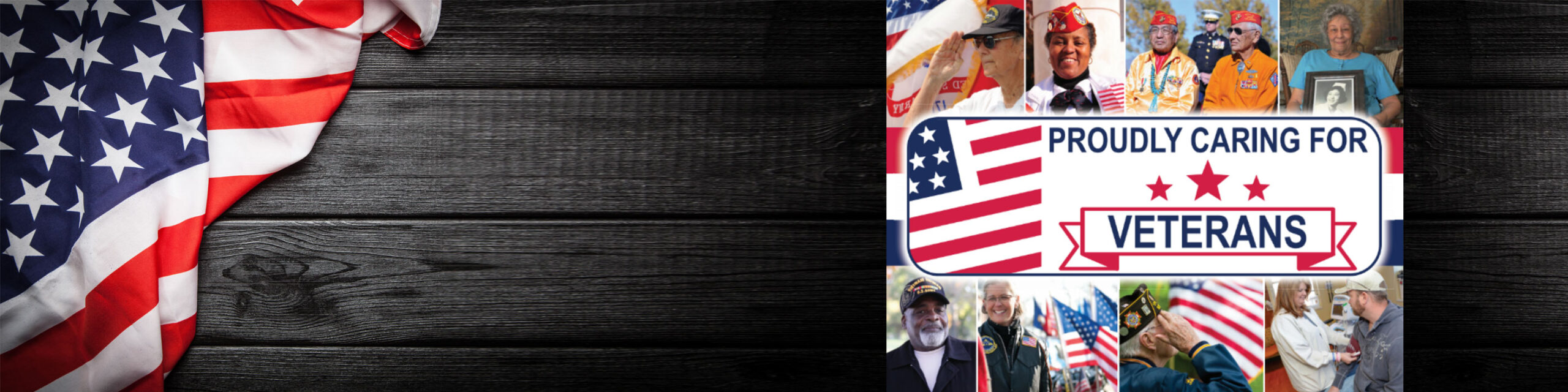 vet banner 1 1 scaled