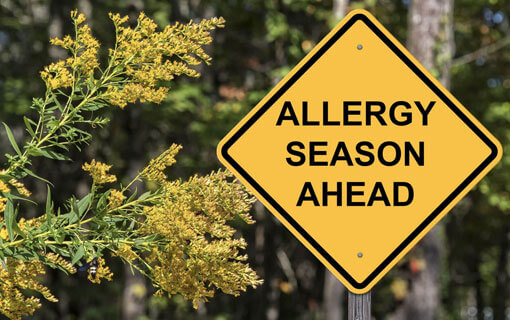 Seasonal Allergies 1